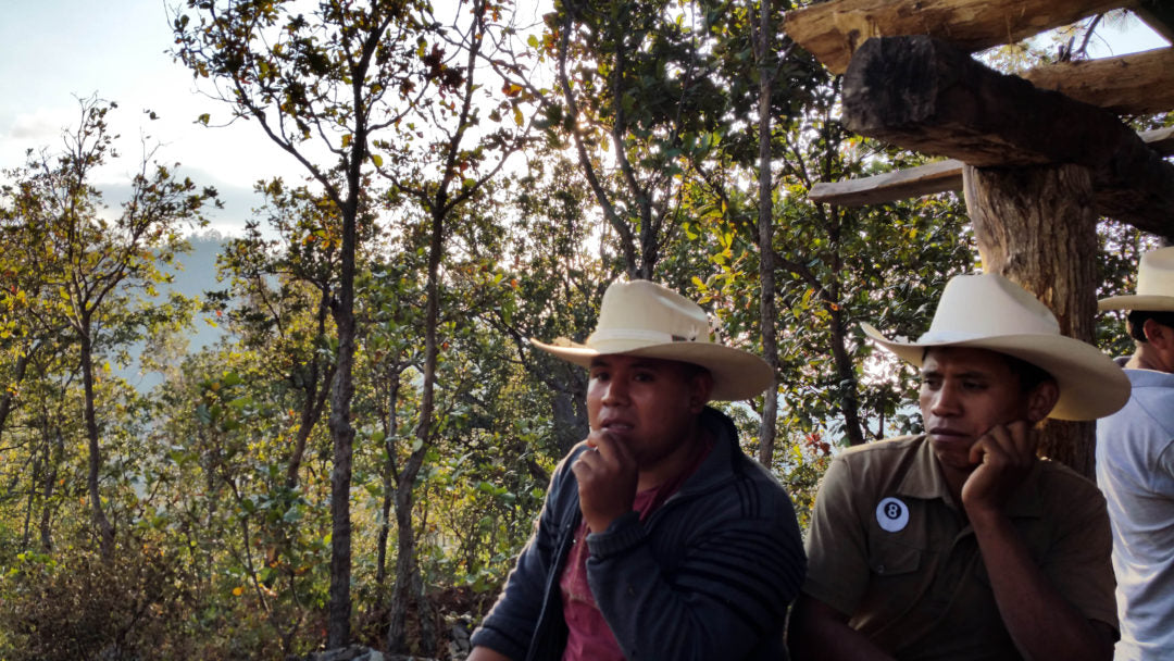 HONDURAS CATRACHA, MARIO DIONEL VASQUEZ