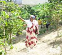 BURUNDI TURIHAMWE WOMEN PRODUCERS