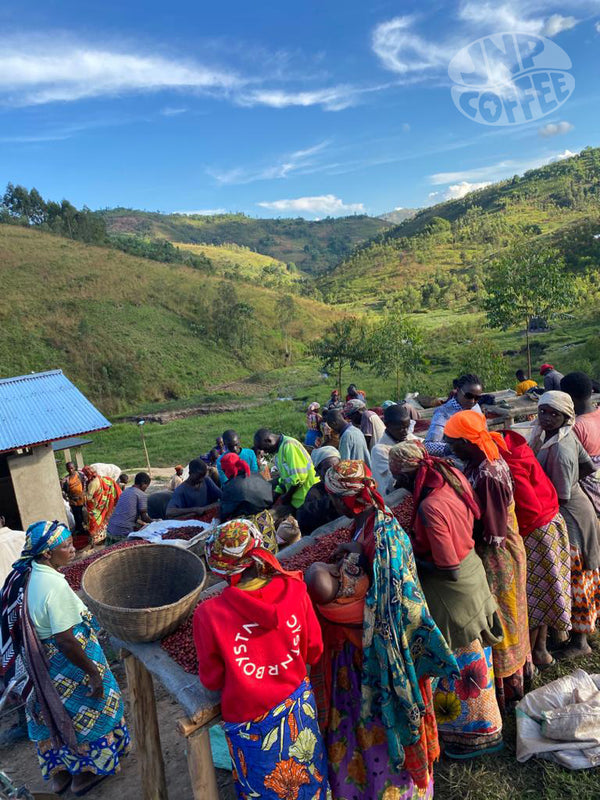 Burundi Turihamwe Women Producers Light Roast