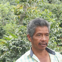 ORGANIC MEXICO CHIAPAS