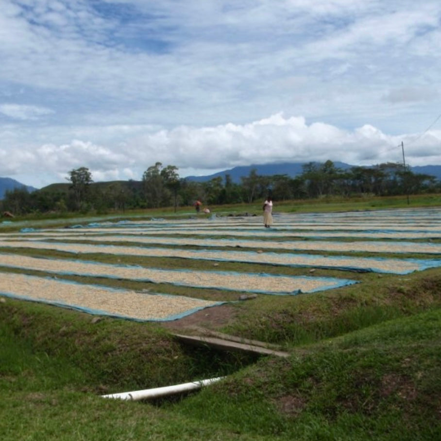 PAPUA NEW GUINEA SIANE CHIMBU