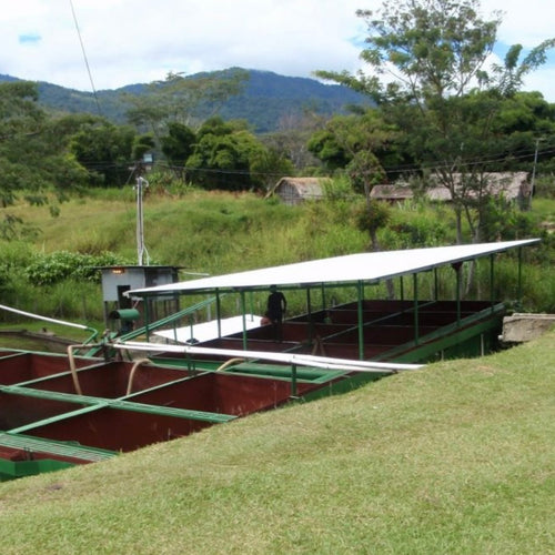 PAPUA NEW GUINEA SIANE CHIMBU