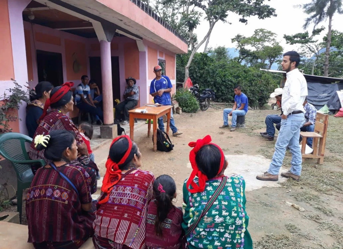 ORGANIC GUATEMALA HUEHUETENANGO