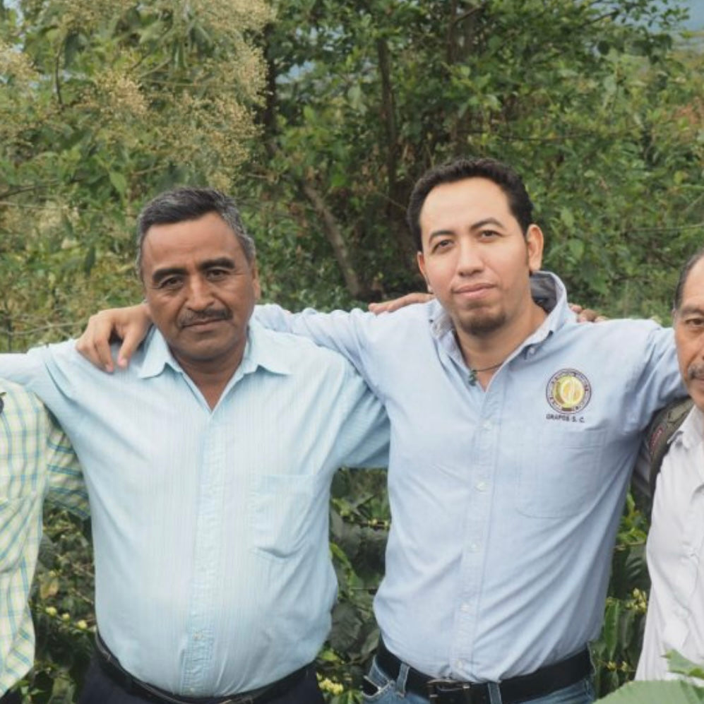 ORGANIC MEXICO CHIAPAS