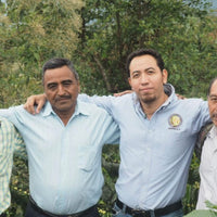 ORGANIC MEXICO CHIAPAS